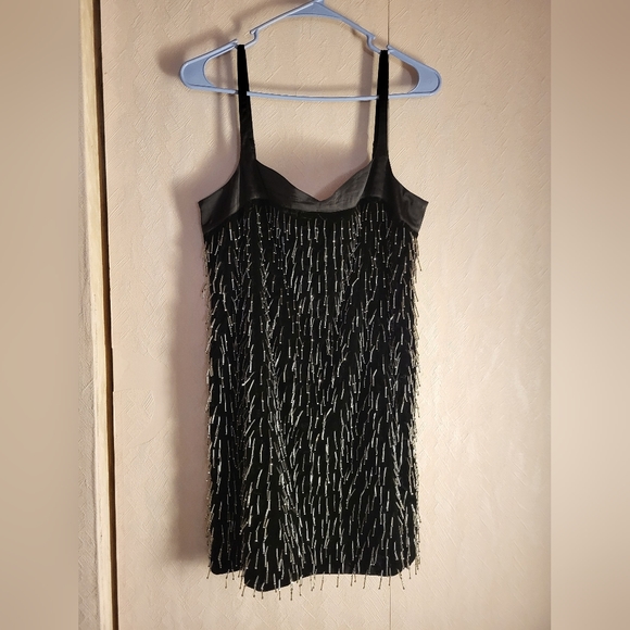 Anthropologie Sweetheart Fringe Shift Mini - Picture 4 of 10